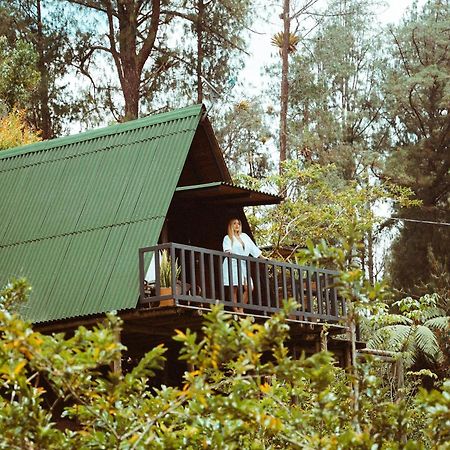 Cardinal Glamping Hotel Guatape Exterior photo